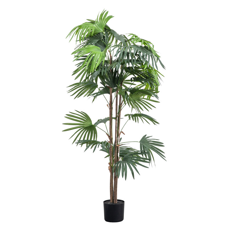 Faux Palm Plant in Pot, 169cm H x 23cm W x 18cm D