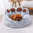 Denzle Cotton Pet Bed