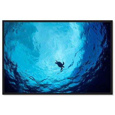 «Blue Green Sea Turtle», reproduction de photo sur toile