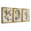 Fern Botanical IV - Ensemble de 3 peintures sur toile encadrées-131489272-131489273