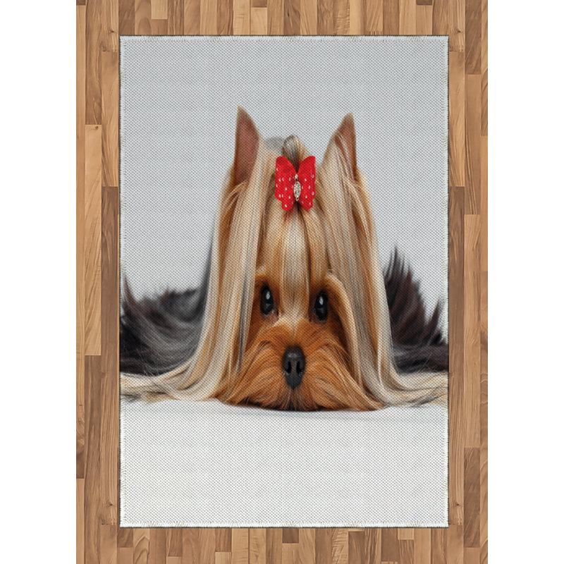 Yorkie High Density Long Fiber Poly Threads Decorative Area Rug Carpet, Rectangle 4' x 5'8"