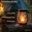 Renard flamme