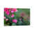 Wrapped Canvas selected