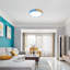 Eulane 1-Light 30cm LED Flush Mount Ceiling Light-1733551534