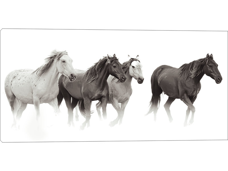 Quatro Stretched Canvas