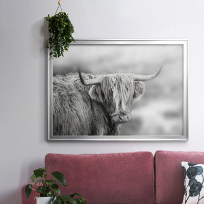 " Roaming Isle Of Skye "