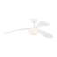 Visual Comfort Fan Drape Smart 58 LED Indoor Ceiling Fan with Threaded Downrod, Matte White ABS blades and Handheld Remote-1608084155-1608084154