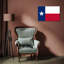 Texas State-676175372
