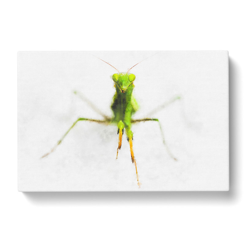 Praying Mantis - Wrapped Canvas Graphic Art Print, 35cm H x 50cm W x 3cm D