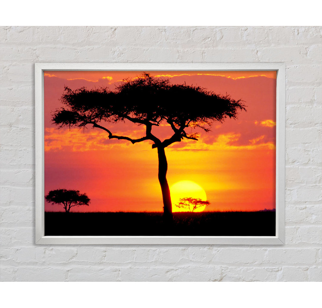 Sonnenuntergang in Kenia - Einzelner Bilderrahmen Kunstdrucke auf Leinwand