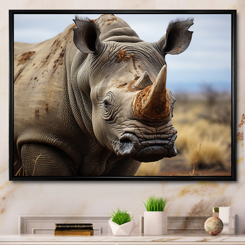 Rhinocéros, portrait monochrome, Cadre flottant noir, H 24 po x l 32 po x P 1 po