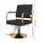 360° Swivel Hydraulic Salon Recliner - Pump Design, Non-Tilting, For Hair/Tattoo/Beauty
