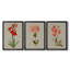 «Botanical Array VII», ensemble de 3 impressions sur toile encadrées-1387990129-1387990123