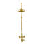 Système de douche thermostatique avec bec de baignoire (P1089)-132271125