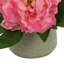 Dahlia Arrangement-384965330