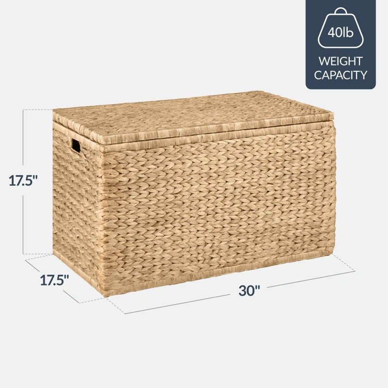 Storage Trunk