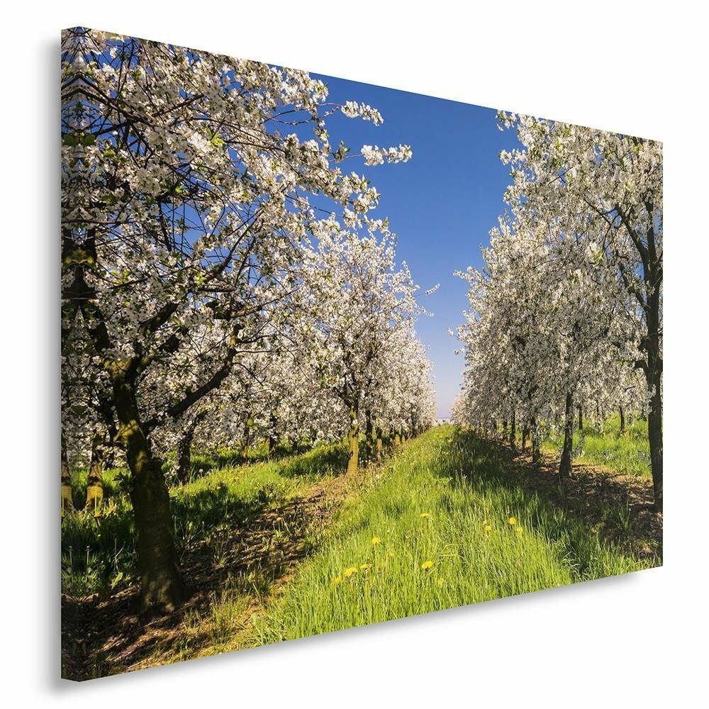 Leinwandbild Blooming Orchard