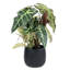 Artificial Plant