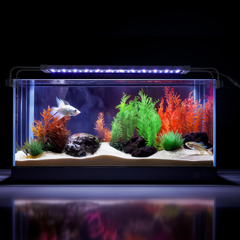 Lumière pour aquarium Erryn, H 3 po x l 30,7 po x P 4,1 po