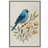 Watercolor Blue Bird on Floral Branch - Pictures Framed Canvas Print Wall Art-538625875-538625896
