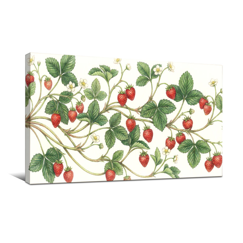 Plantes et fleurs Vignes à la fraise avec feuilles et fleurs, H 16 po x l 32 po