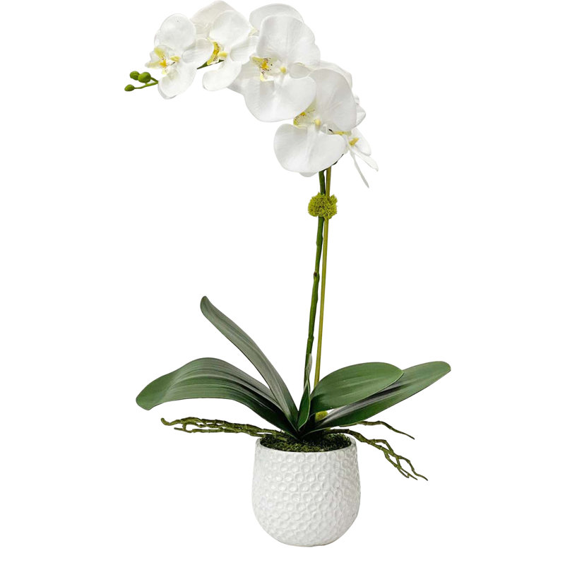 24'' Faux Orchid Plant in Ceramic Pot