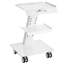 60.5cm H x 36.0cm W Utility Cart with Wheels