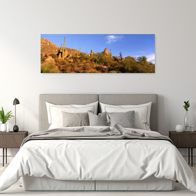 Cactus Saguaro, désert de Sonora, Arizona, États-Unis, paisible, abstrait, cactus contemporain, paysage, nature, art mural