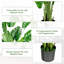 Faux palmier en pot Dozier