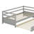 Daizie Pendlebury Daybed with Trundle-1791039777