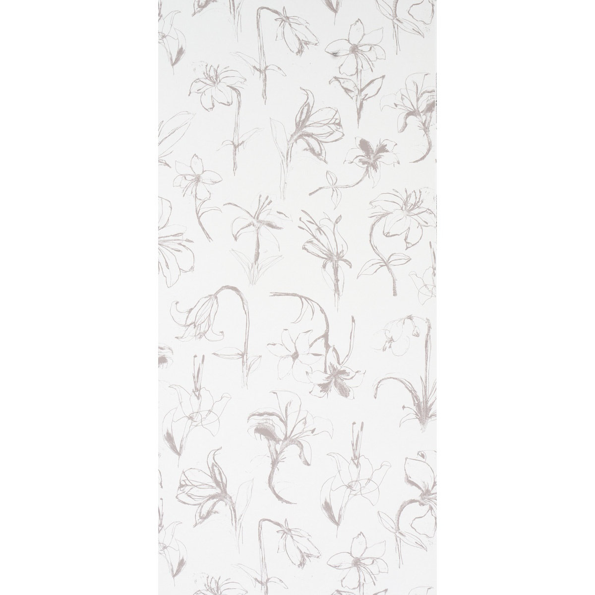 Hera Ford Wallpaper Roll, Soft Black