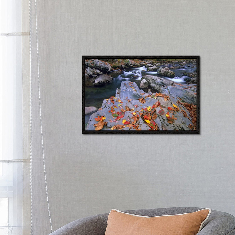 Little Pigeon River, Great Smoky Mountains National Park, Tennessee 1 Piece Wall Art on Canvas, 66.04 cm H x 45.72 cm W