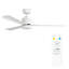 Okun 52cm Ceiling Fan with LED Lights
