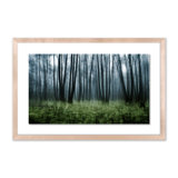 Eerie Trees IV Print by Jakob Wagner