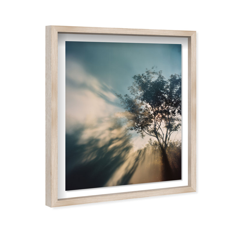 Golden Sunbeams II Shadowbox Floral & Botanical Print by Oliver Gal, Black Frame, 16 x 20, 21.5"H x 25.5"W, Black Shadowbox