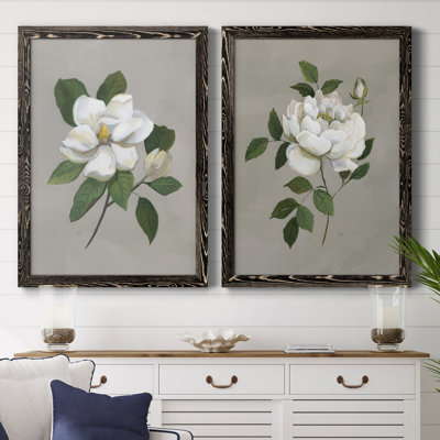 Magnolia botanique - ensemble de 2 reproductions d'art