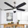 Ceiling Fan with LED Lights