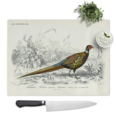 Pheasant Illustration By Charles D' Orbigny  Glass Chopping Board