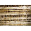 Safari Animal Print Area Rug