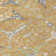 Machine Washable Indoor/Outdoor Boruta ACN2250 Global Rug