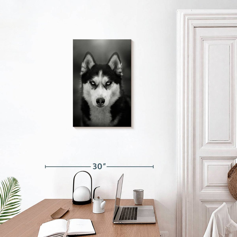 Brampt Serious Siberian Husky, 24" H x 16" W