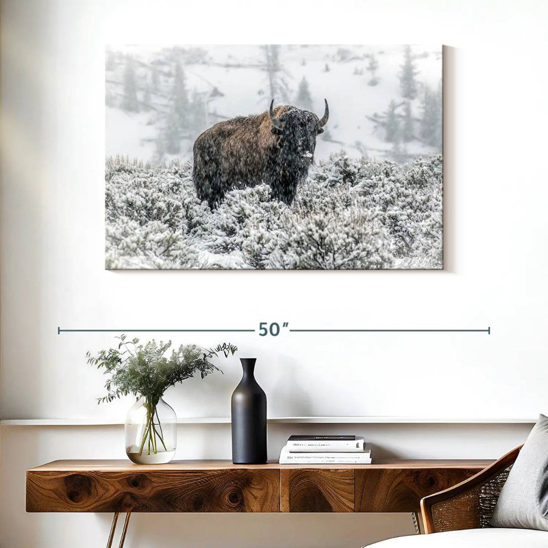 Brampt Lamar Valley Bison
