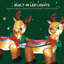 Polyester Fabric Christmas Decoration
