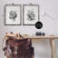 Ensemble de 2 toiles flottantes encadrées antiques-908858579-908858581
