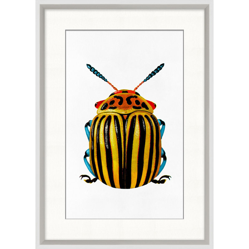 Rainbow Insect " Rainbow Insect 1 " by Lillian August