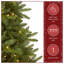 Sapin de Noël illuminé 7 pi 5 po Reena-972844023