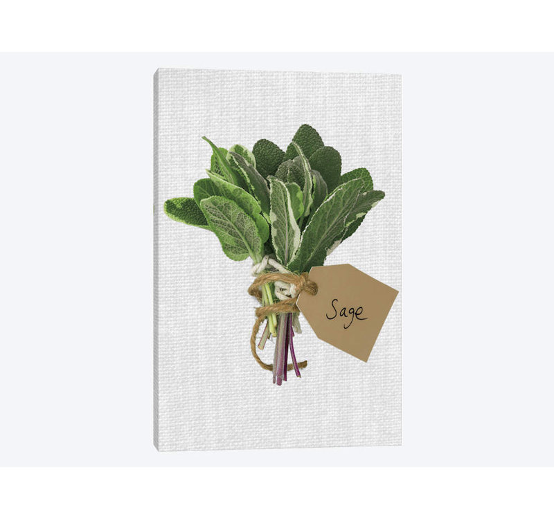 «Sage», reproduction d'impression sur toile, H 18 po x l 12 po x P 1,5 po, Toile tendue, Pas de tapis