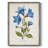 Botanical II Framed Print - Solid Wood-802558094