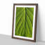 Leaf Pathways - Picture Frame Painting Print-55581492-55581493