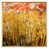 Toile avec cadre flottant or